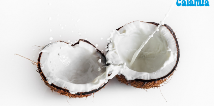 Las maravillas de la Coconut Milk Calahua