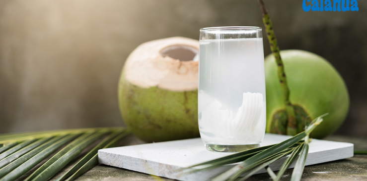 Agua de Coco: hidratación natural
